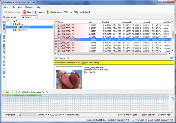 Filerescue Professional -  4