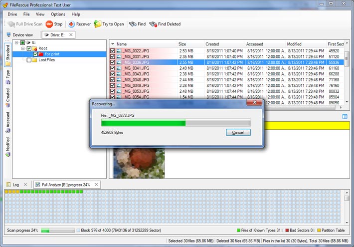 FileRescue Professional 4.10