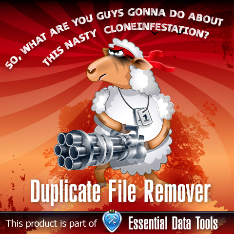 Duplicate File Remover